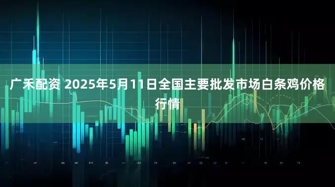 广禾配资 2025年5月11日全国主要批发市场白条鸡价格行情
