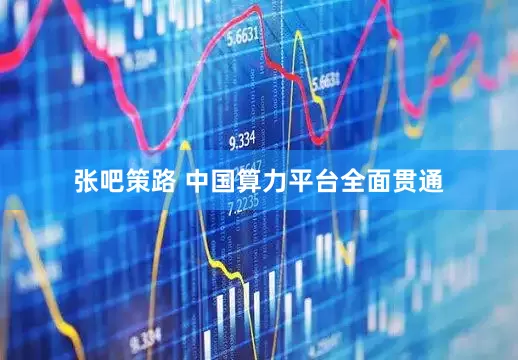 张吧策路 中国算力平台全面贯通