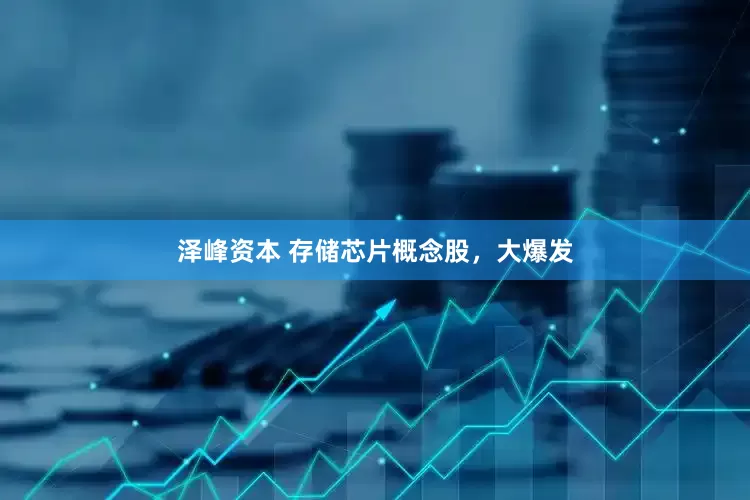 泽峰资本 存储芯片概念股，大爆发