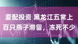 爱配投资 黑龙江五常上百只燕子滞留，冻死不少